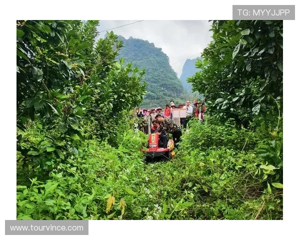 党员企业家引领高质量发展助推新时代民营经济腾飞
